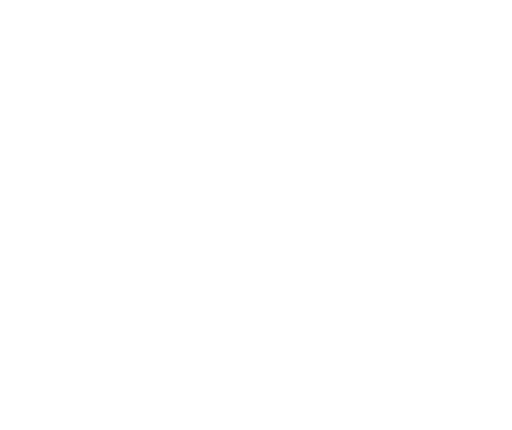 MedPlus Logo