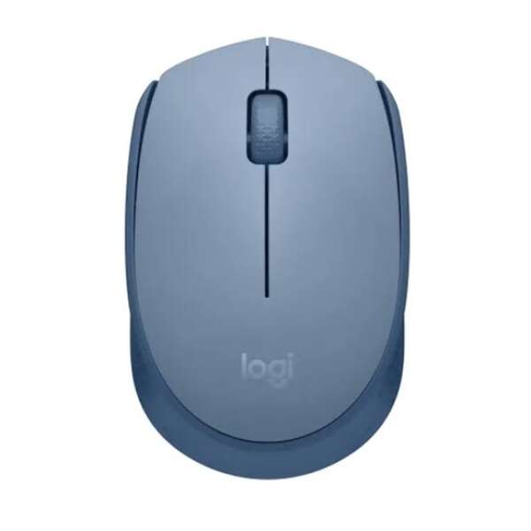 Mouse logitech M171