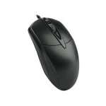 Mouse p11