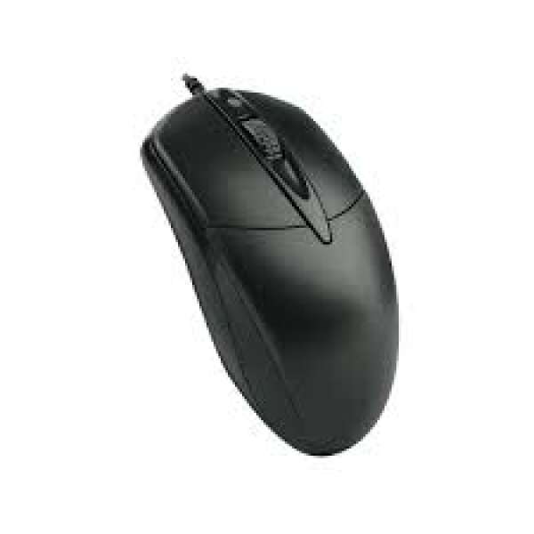 Mouse p11
