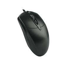 images - 2026-07-13T160833.862 Mouse p11 - الصورة 1