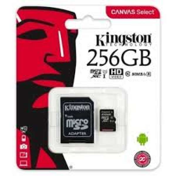Memory Card 256G Kingston